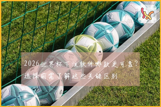 2026世界杯下注软件哪款更可靠？选择前需了解这些关键区别