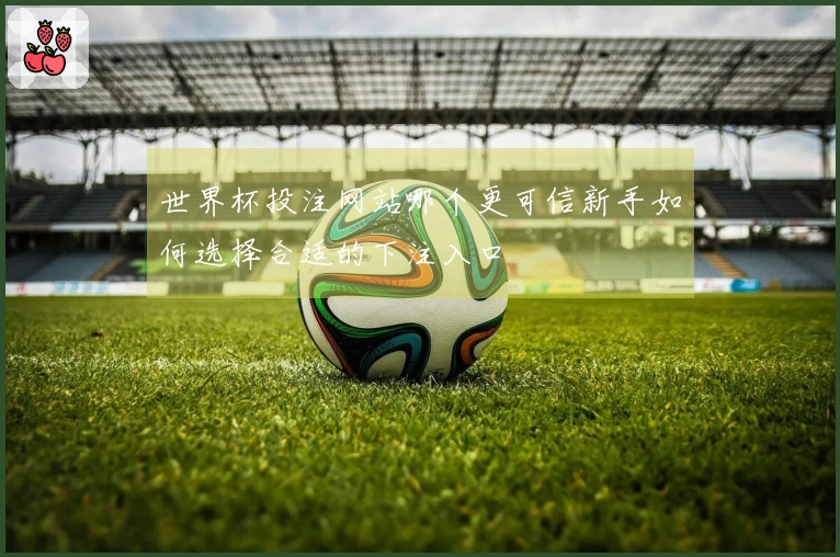 世界杯投注网站哪个更可信新手如何选择合适的下注入口