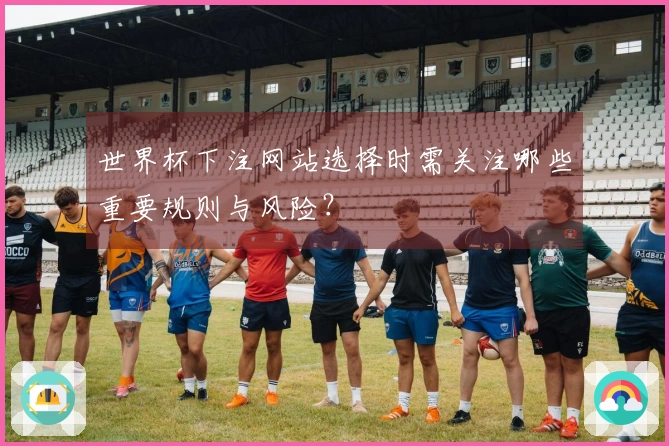 世界杯下注网站选择时需关注哪些重要规则与风险？