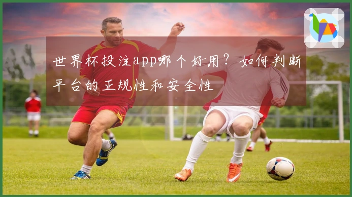 世界杯投注app哪个好用？如何判断平台的正规性和安全性