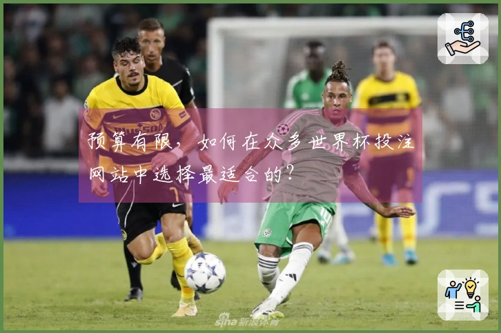 预算有限，如何在众多世界杯投注网站中选择最适合的？